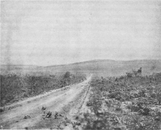 Stevenson Road 1899.jpg