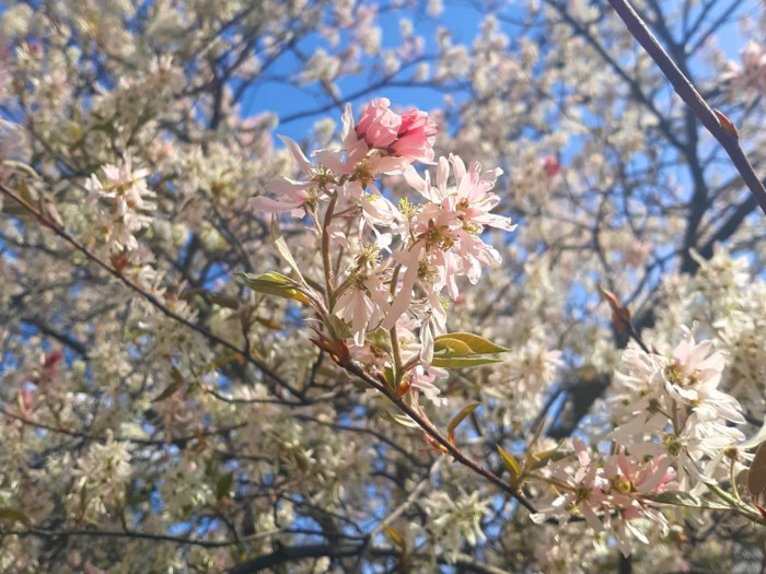 20200407_152340_Fotor