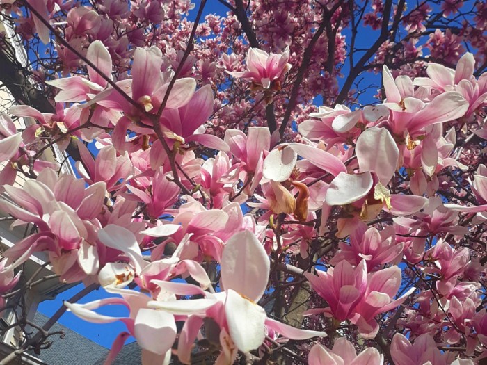 20200407_152357_Fotor