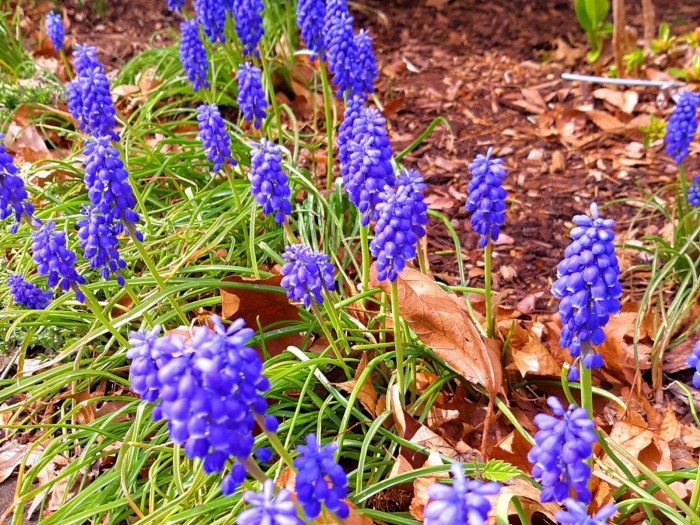 20200408_153054_Fotor