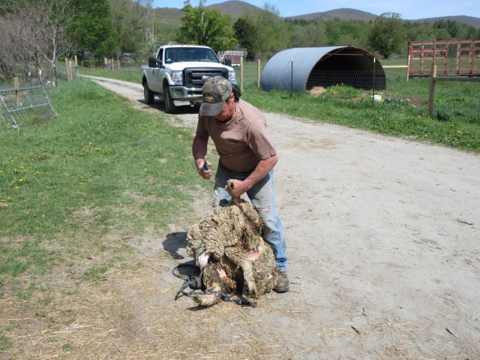 20200524091140_IMG_4892