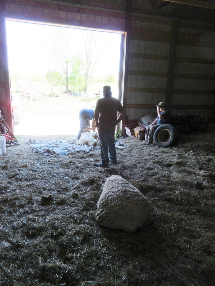 20200524102717_IMG_4900