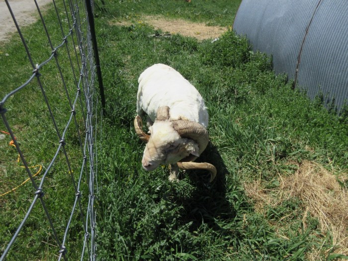 20200524124748_IMG_4907