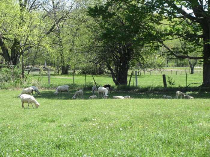 20200524124943_IMG_4908