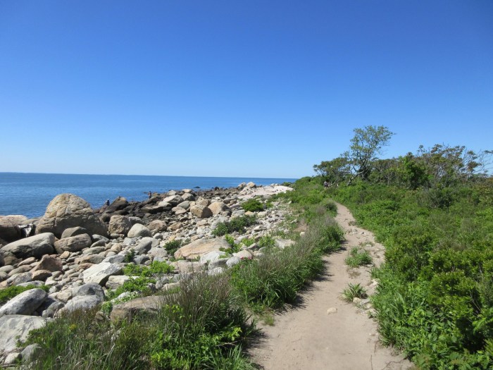 20200614094916_IMG_5034