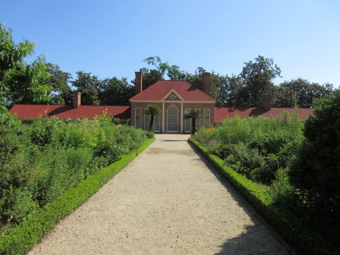 20200704084910_IMG_5104