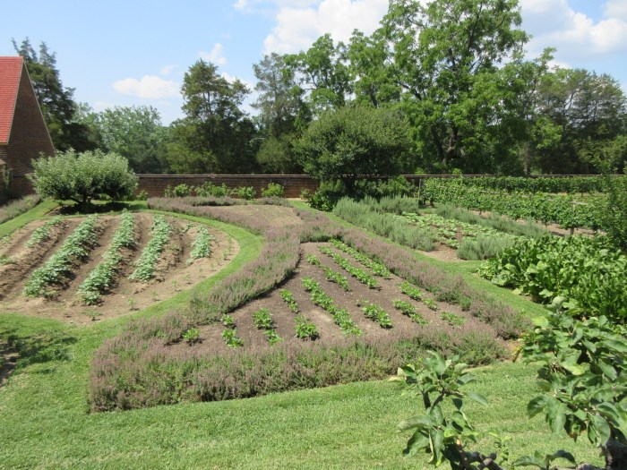 20200704105124_IMG_5185